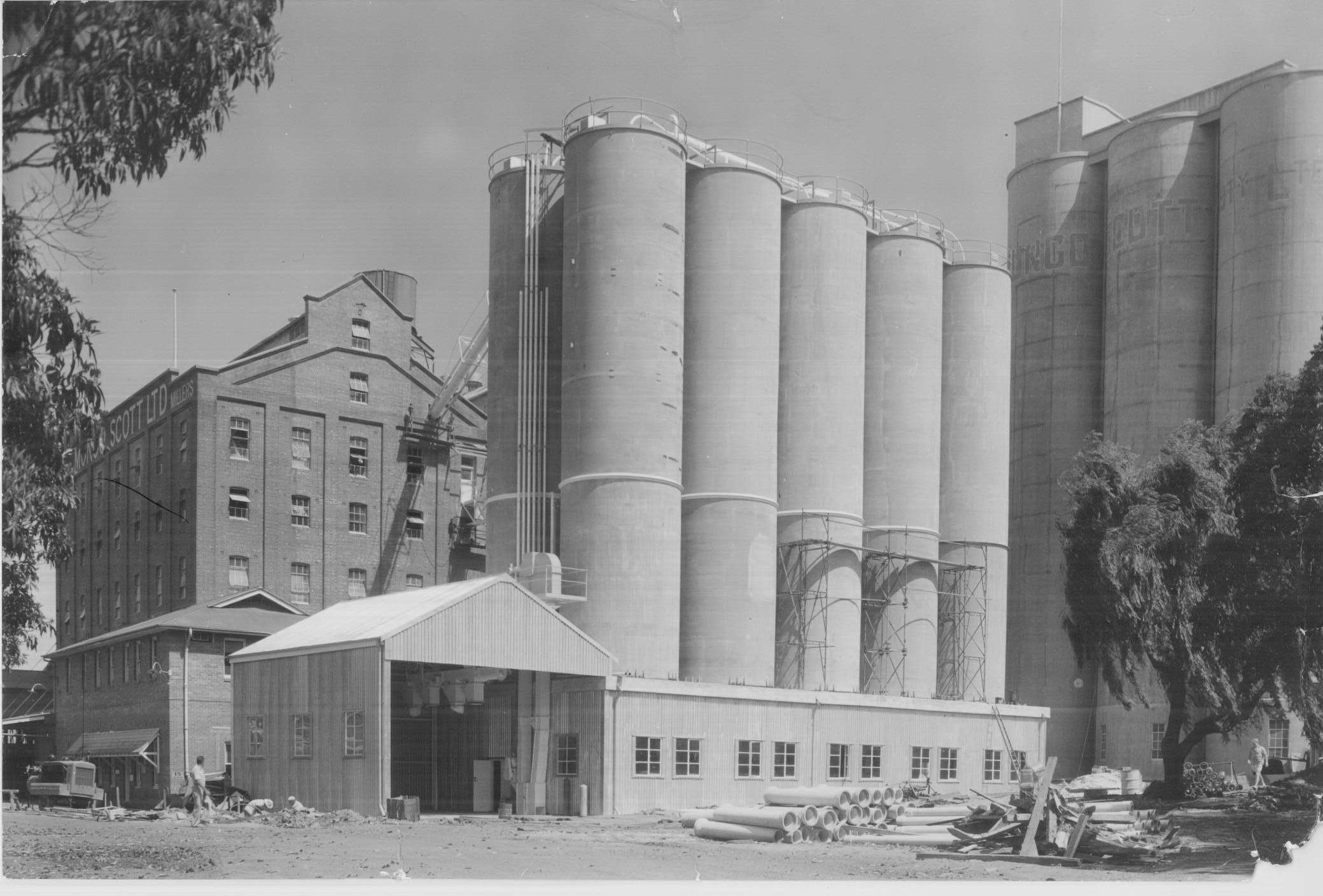 Mungo Scott Flour Mills